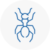 Ant Removals In Waltham Forest