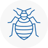 Bed Bug Extermination In Waltham Forest