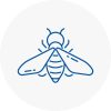 Bee Nest Removal Waltham Forest