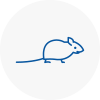 Mice Exterminators In Waltham Forest