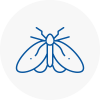 Moth Control Specialists In Waltham Forest