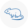 Rat Control Waltham Forest