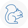 Waltham Forest Rodent Removals