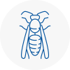 Waltham Forest Wasp Nest Removal